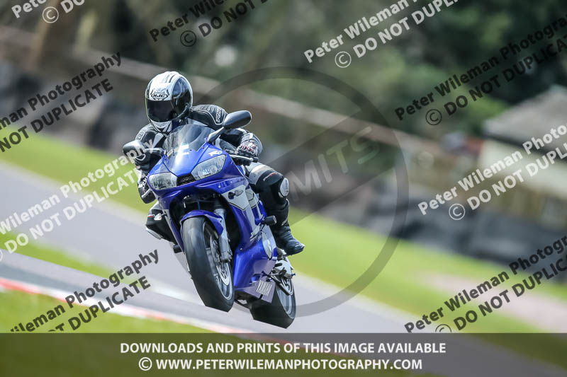 Oulton Park 21st March 2020;PJ Motorsport Photography 2020;anglesey;brands hatch;cadwell park;croft;donington park;enduro digital images;event digital images;eventdigitalimages;mallory;no limits;oulton park;peter wileman photography;racing digital images;silverstone;snetterton;trackday digital images;trackday photos;vmcc banbury run;welsh 2 day enduro